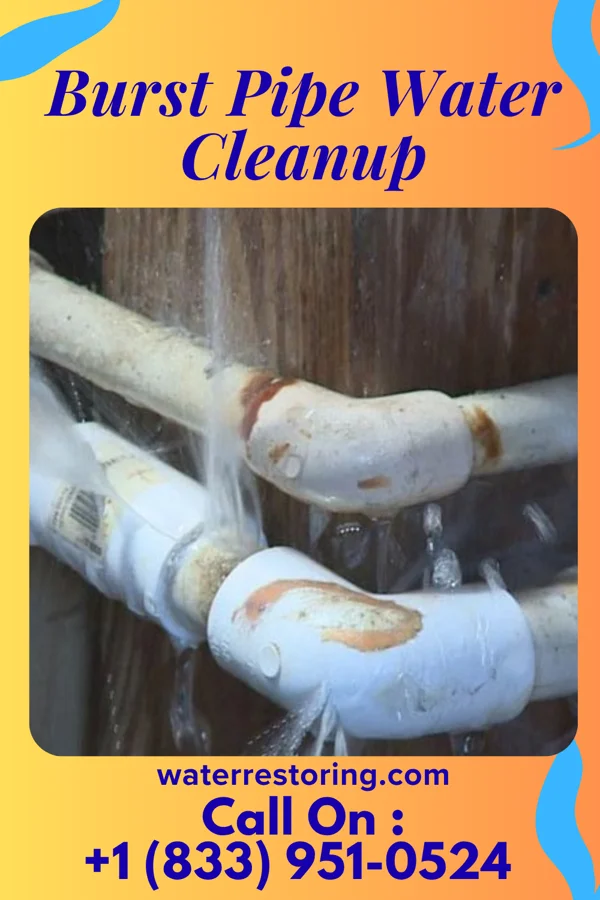 Burst Pipe Water Cleanup in Rockford, MI
