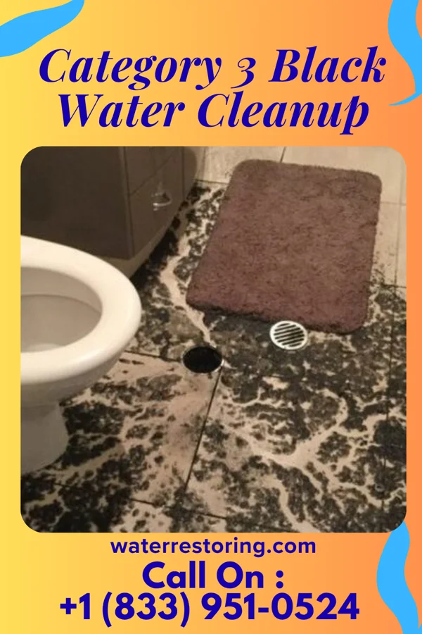 Category 3 Black Water Cleanup in Rockford, MI