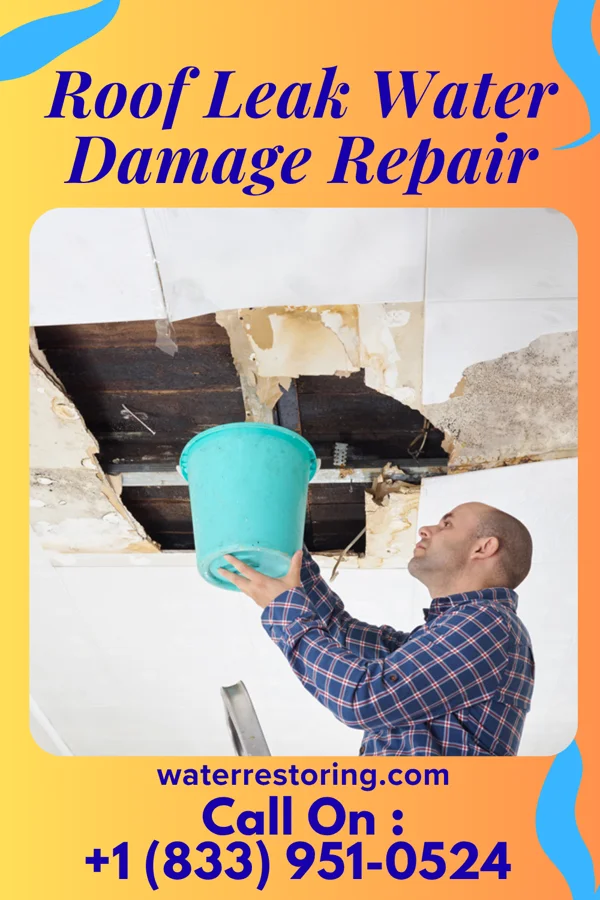 Roof Leak Water Damage Repair in Rockford, MI
