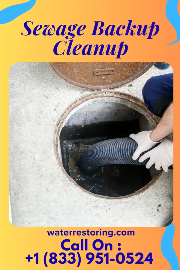 Sewage Backup Cleanup in Rockford, MI