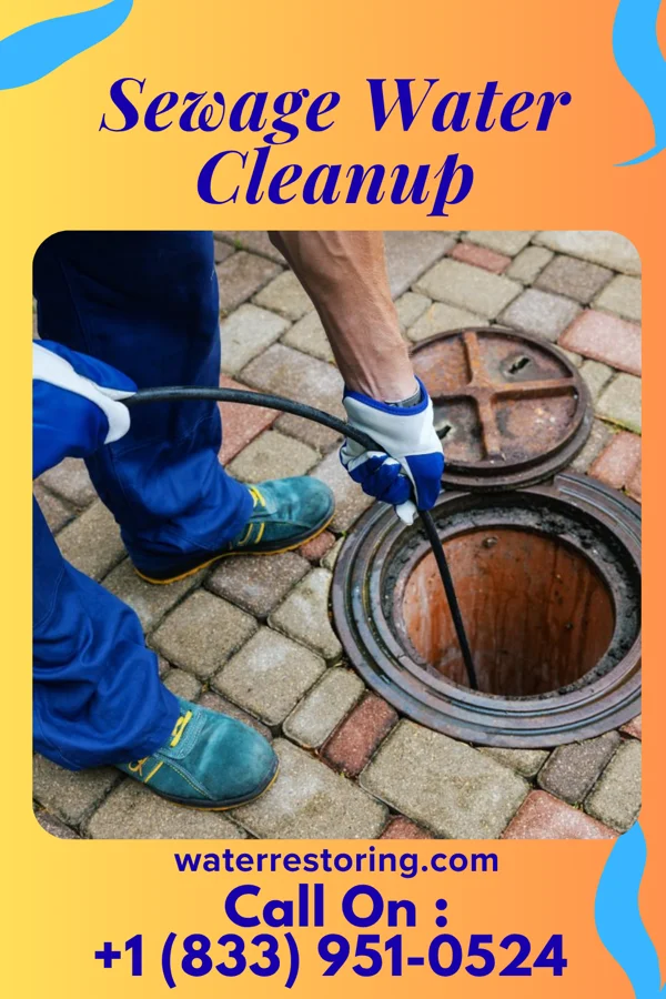 Sewage Water Cleanup in Rockford, MI