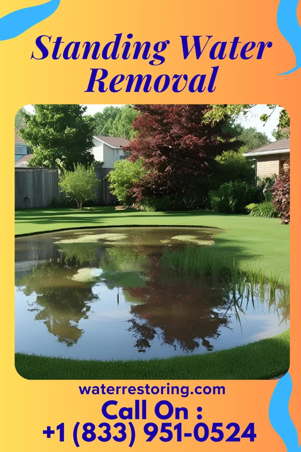 Standing Water Removal in Rockford, MI